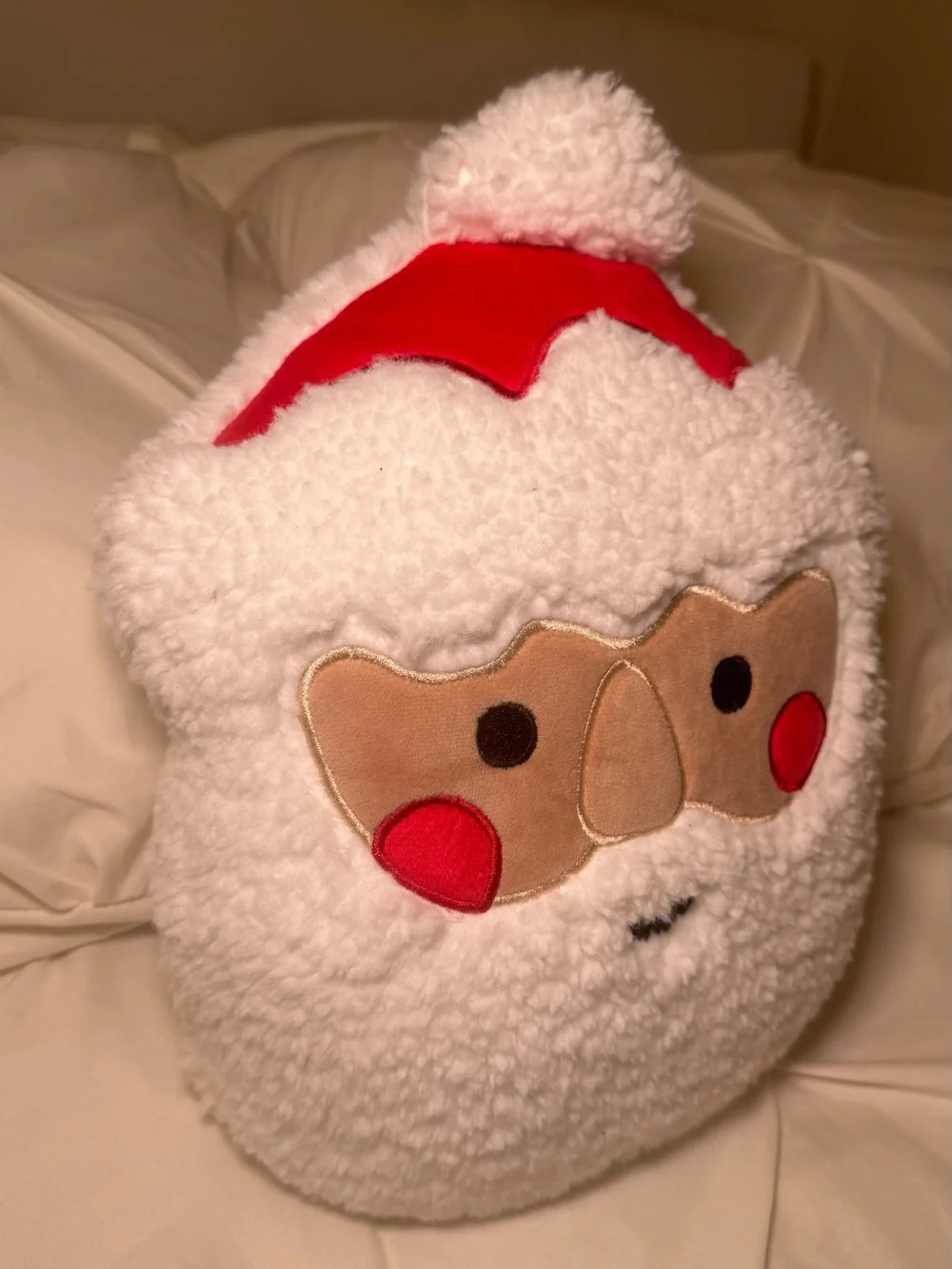 Christmas Santa Pillows